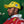 Gorra Scuderia Ferrari Lewis Hamilton GP de Brasil 2026